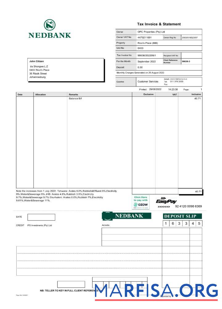 Downloadable South Africa Nedbank statement word example